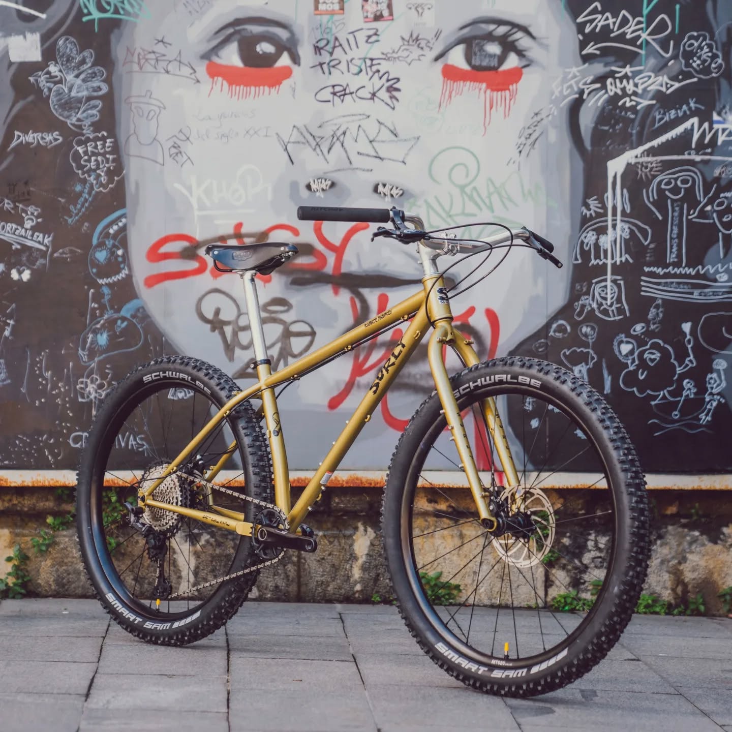 Karate Monkey Fools Gold Mountain Bike Hardtail Hero