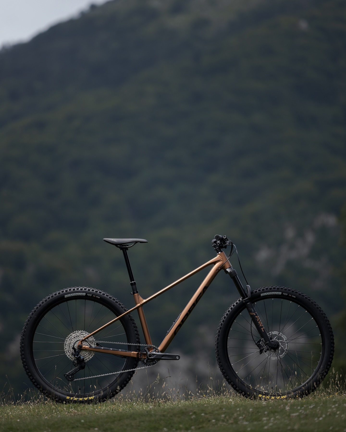 Orbea Hardtail Mountain Bike Laufey Alloy Frame