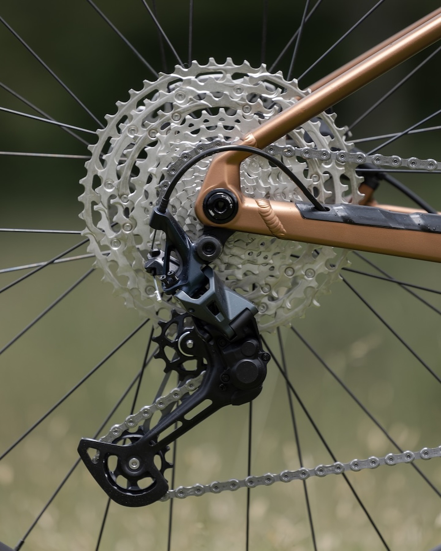 Orbea Hardtail Mountain Bike Laufey Cassette